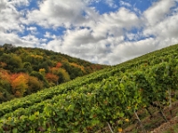 IMG 6471-HDR(3) Default-n 1600x1066